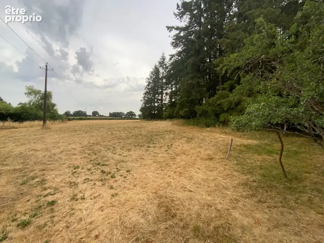 SAINT-EMILAND - Ténement immobilier comprenant deux maisons avec dépendances sur terrain de 1ha 48a 95ca - photo 7