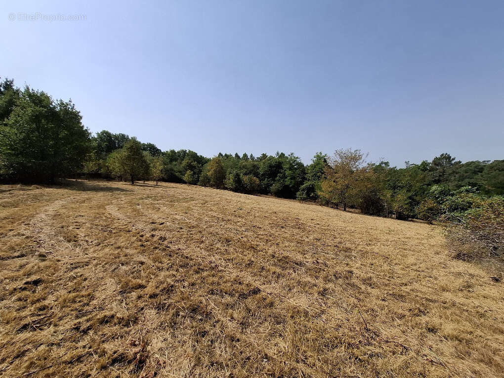 Terrain avec belle vue dégagée - photo 7