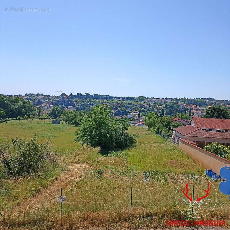 Vernaison 69390  Maison ancienne + dépendances +terrain - photo 9