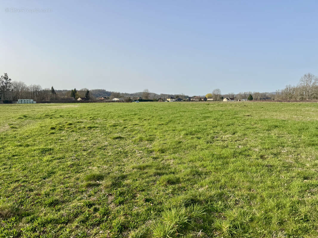 Terrain à SAINT-VIANCE