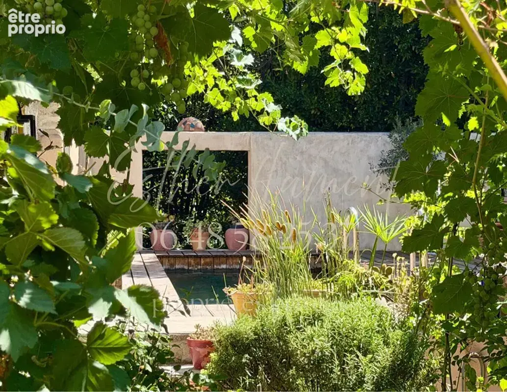 Maison de ville 226 m2 avec jardin, piscine, forage, garage - photo 4