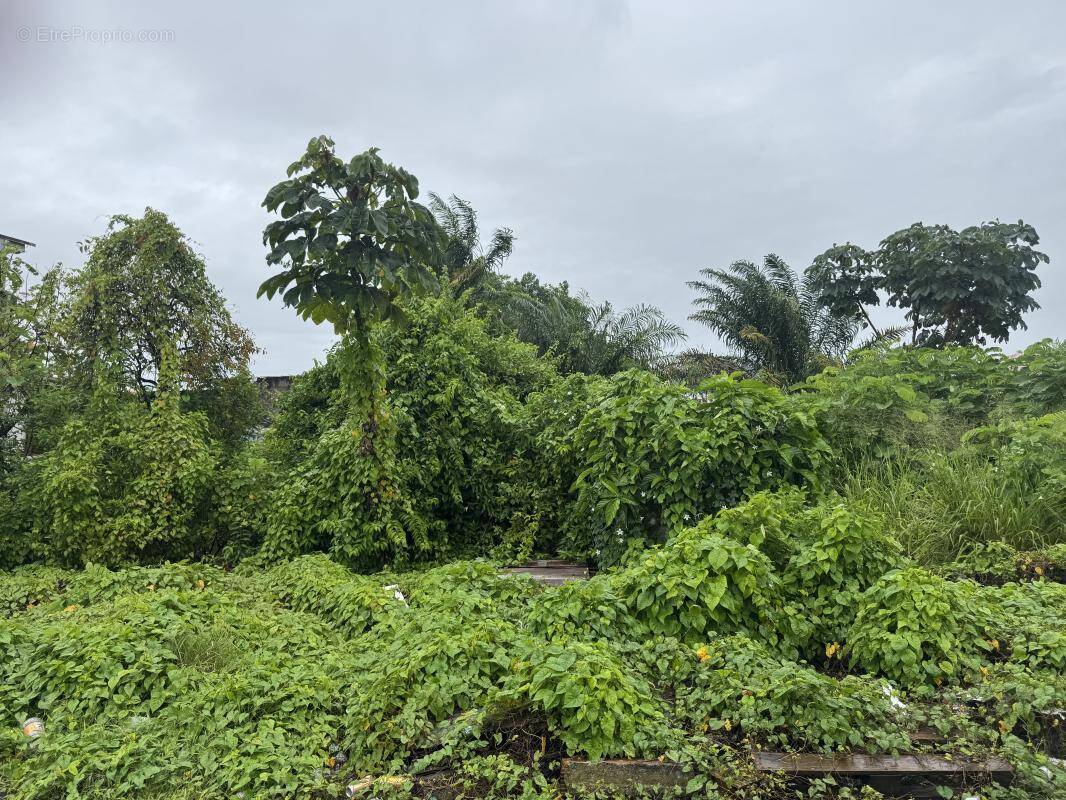 Terrain à CAYENNE