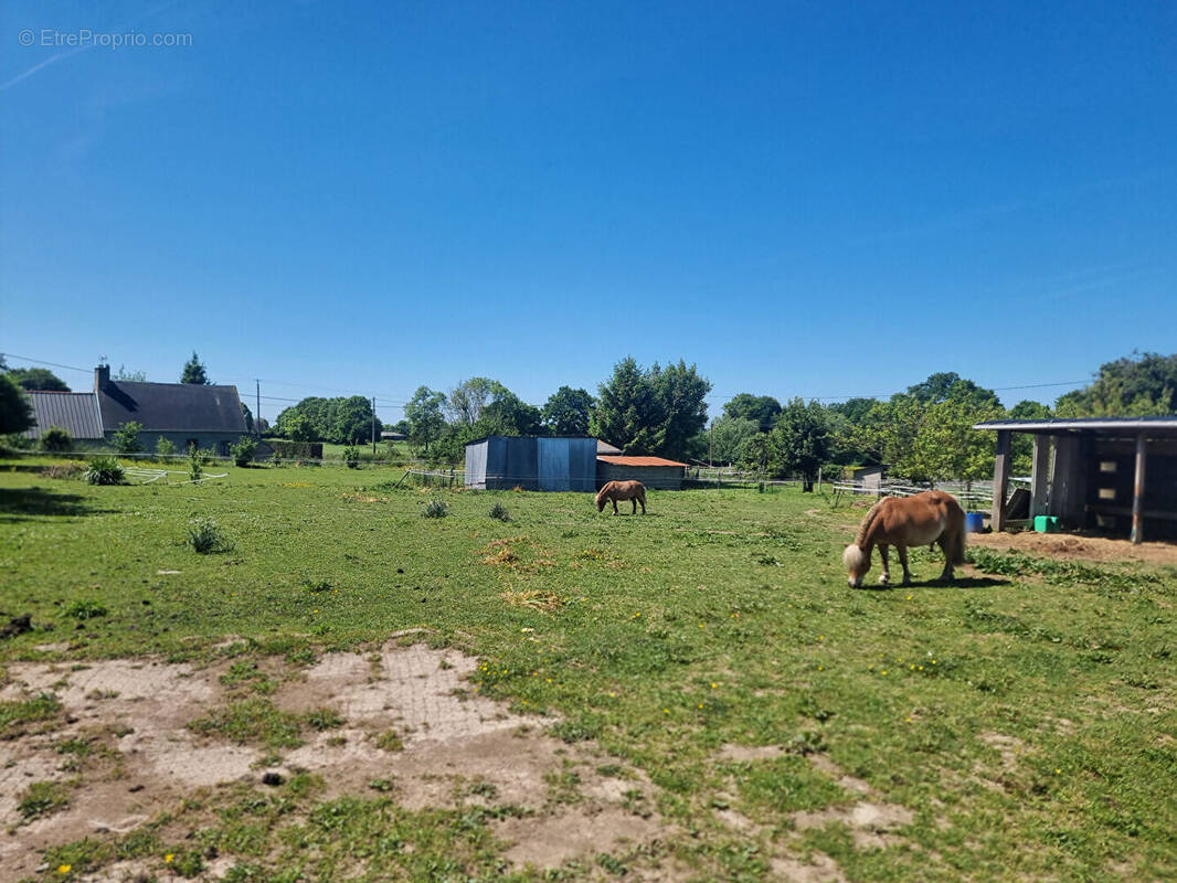 Terrain à LE VAL-SAINT-PERE