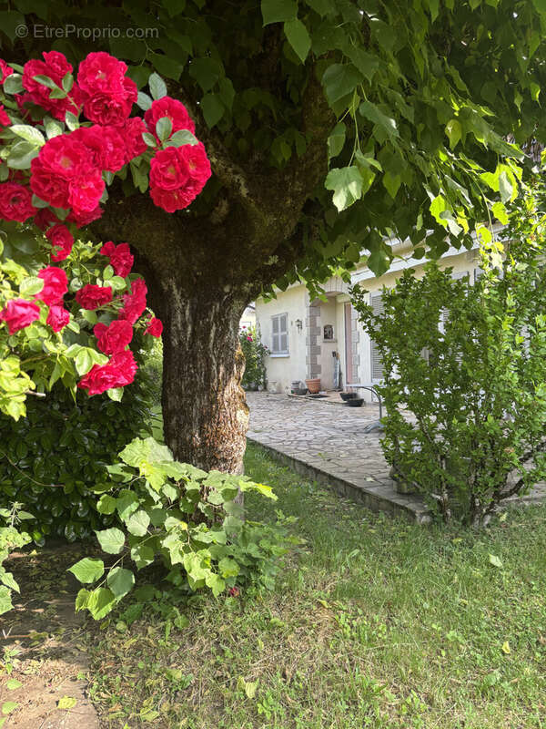 Maison à VIC-SUR-CERE