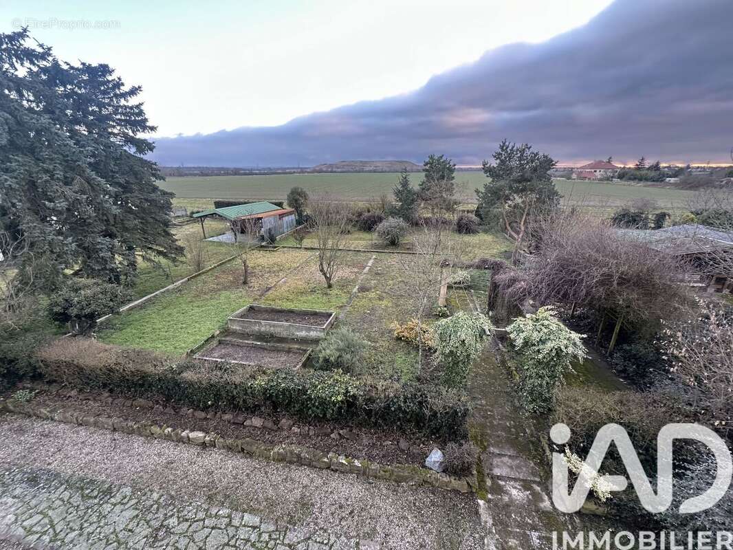 Photo 5 - Maison à WITTELSHEIM