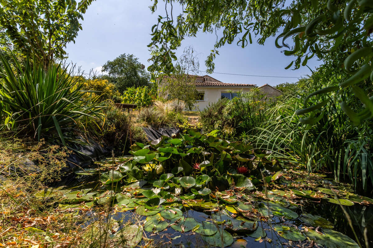 Propriété de campagne avec verger biologique - photo 34