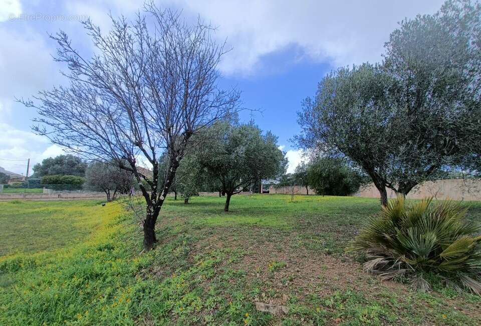 Terrain à ROQUEBRUNE-SUR-ARGENS