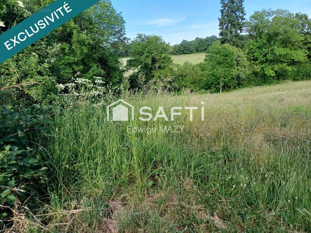 Photo 6 - Terrain à MAINSAT