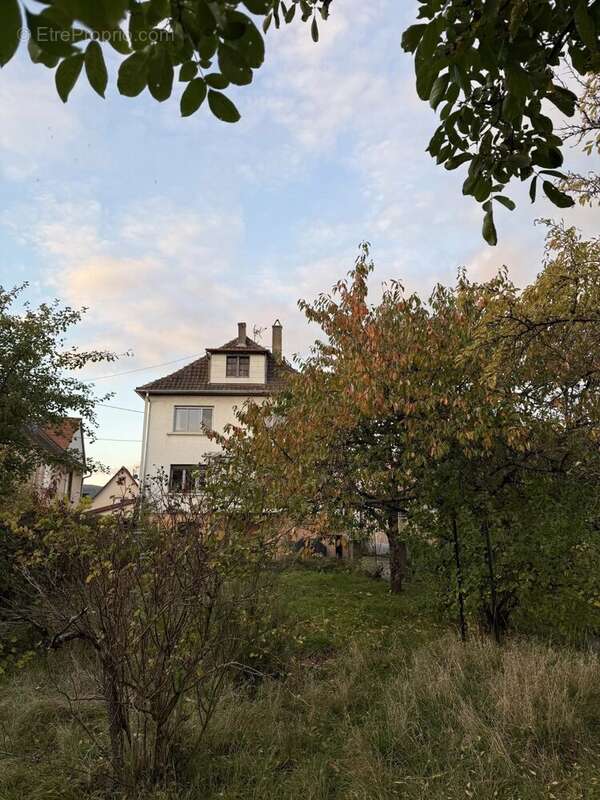 Maison à MONSWILLER