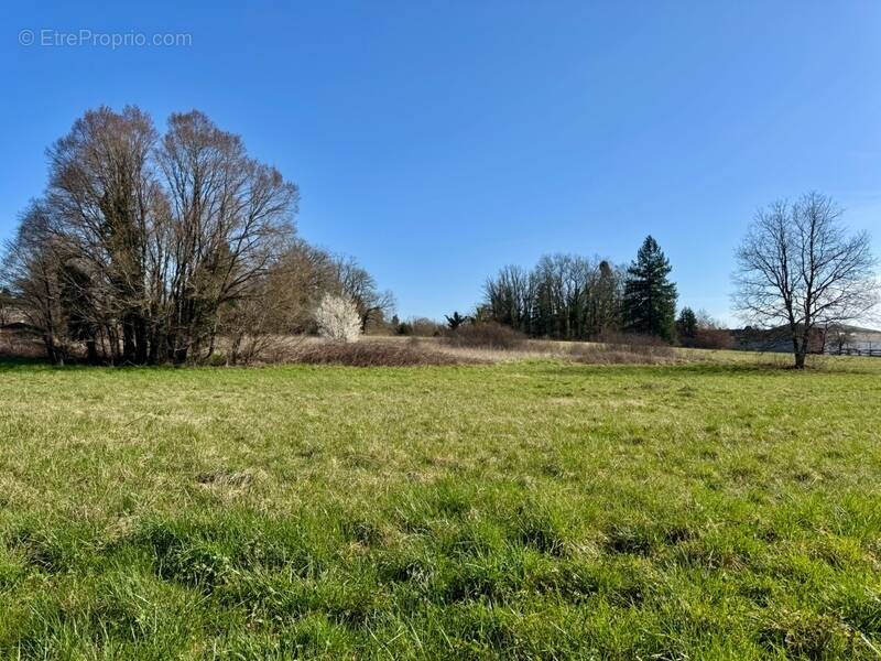 Terrain à SAVIGNAC-LES-EGLISES