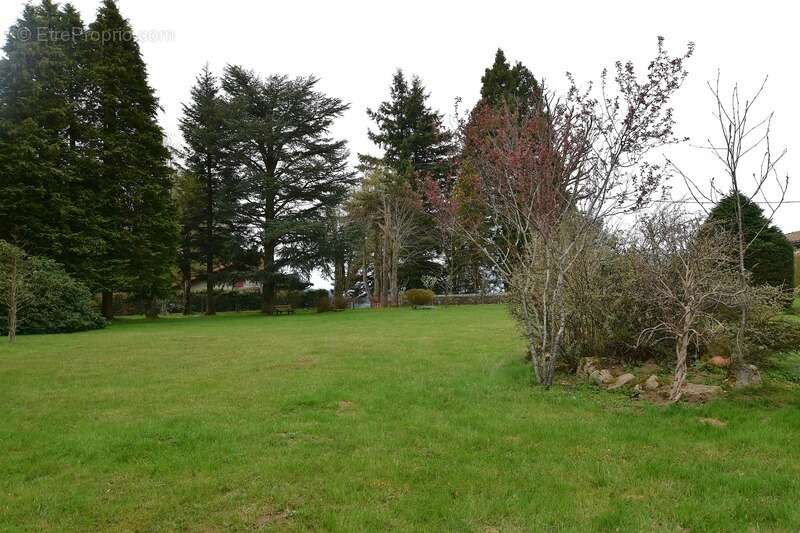 85 m² - maison de caractère - St Genest Malifaux - parc exceptionnel - photo 15