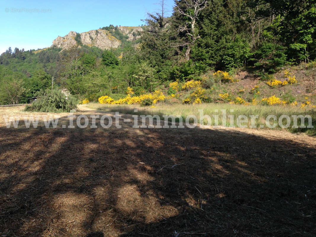 Terrain à LE CHEYLARD