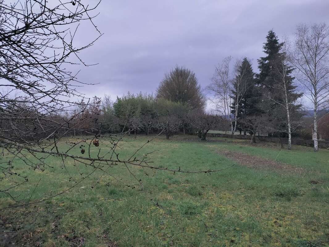 Terrain à CREUZIER-LE-VIEUX