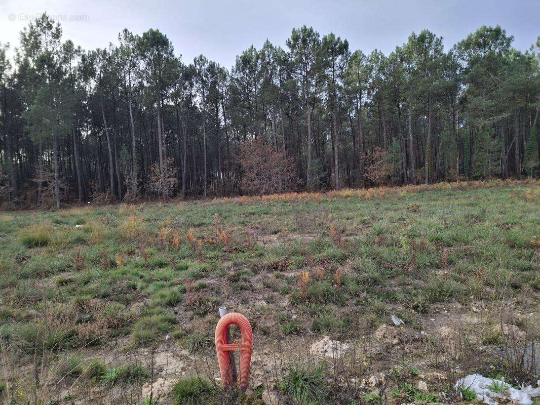 Terrain à SAINT-MARTIN-D'ONEY