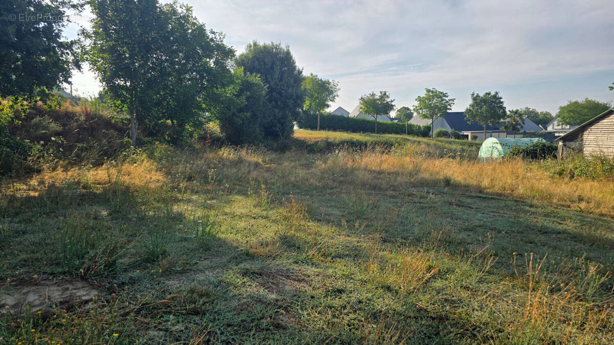 Terrain à LE VAL-SAINT-PERE