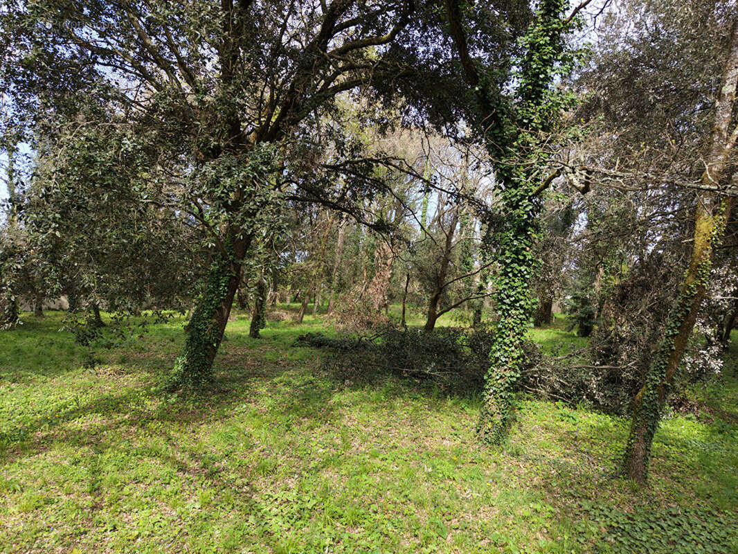 Terrain à MESCHERS-SUR-GIRONDE