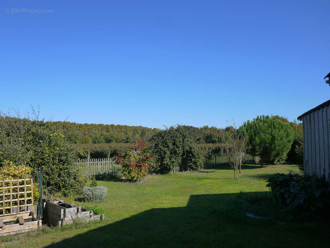 Maison à BUZET-SUR-BAISE