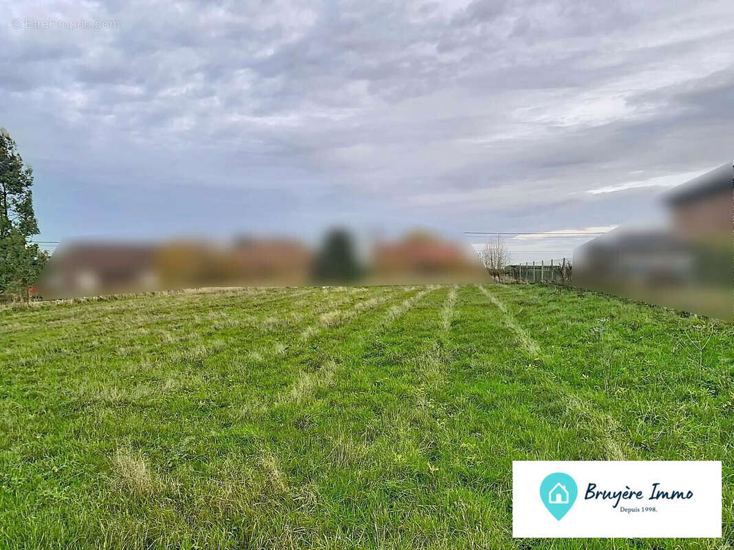 Terrain à SASSEGNIES
