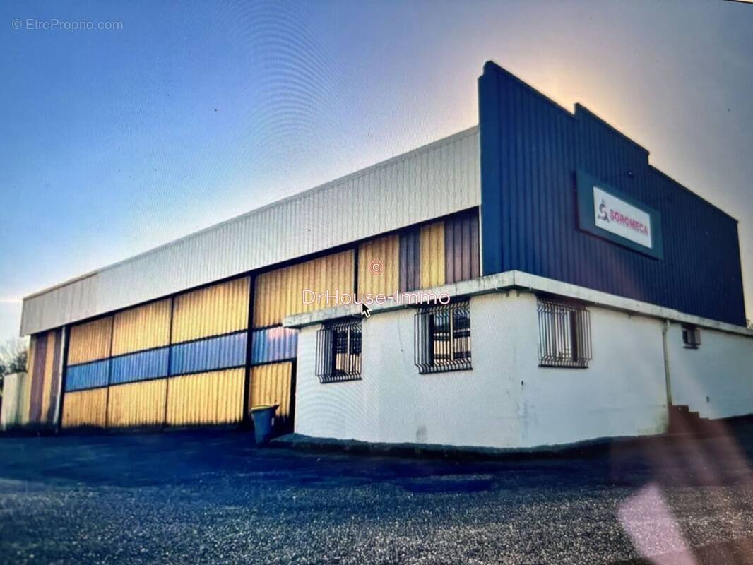 Commerce à SAINT-ROMAIN-DE-COLBOSC