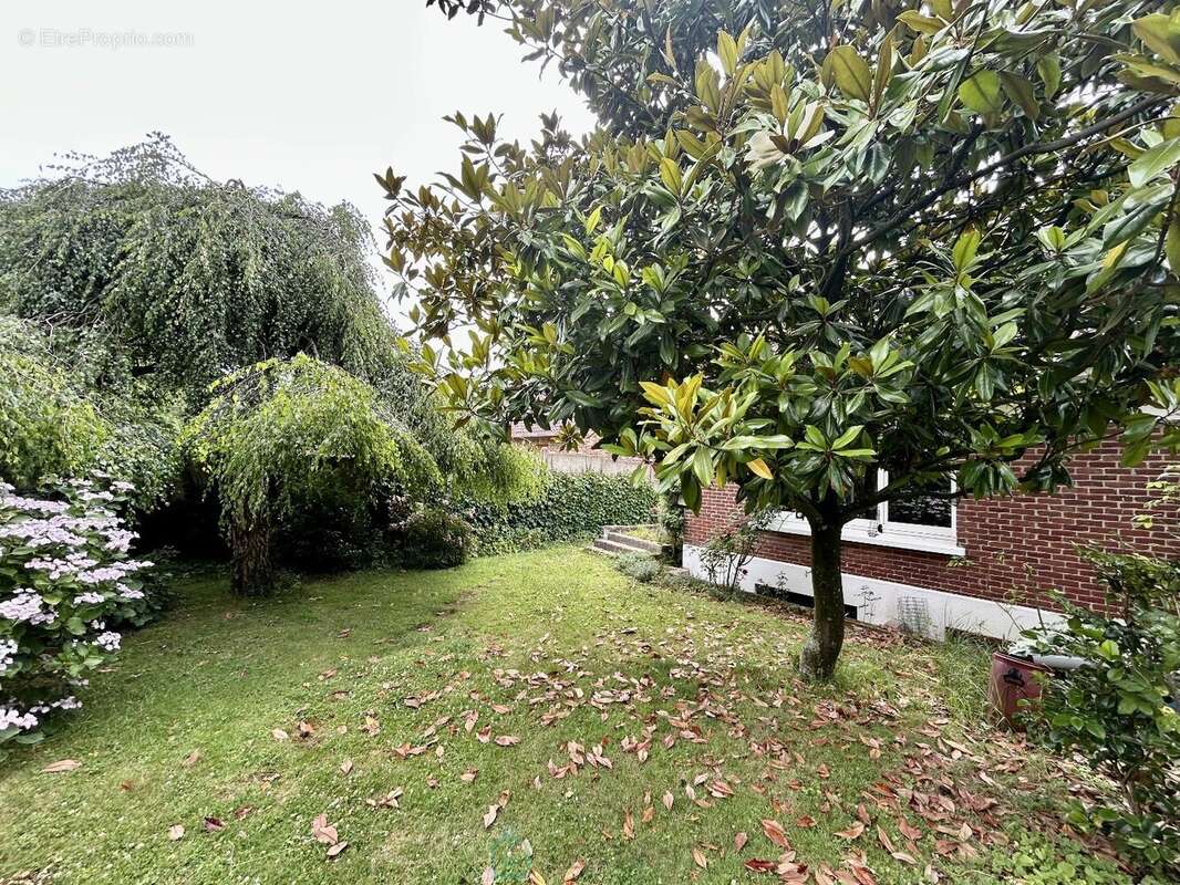 Maison à SAINT-OMER