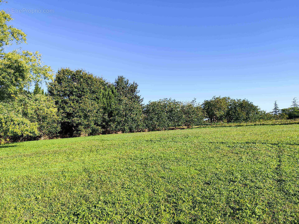 Terrain à GAILLAN-EN-MEDOC