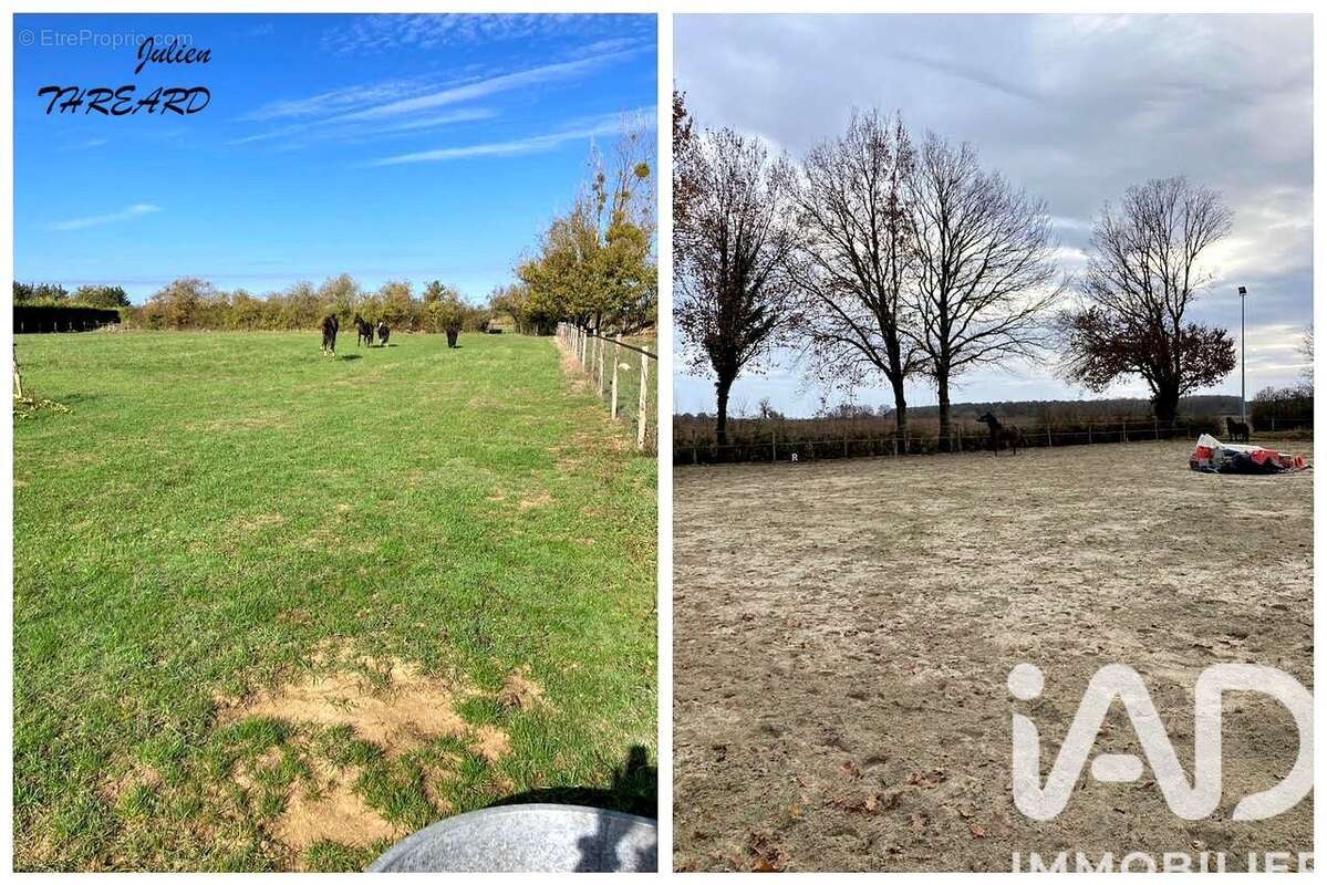 Photo 4 - Maison à MANTHELAN