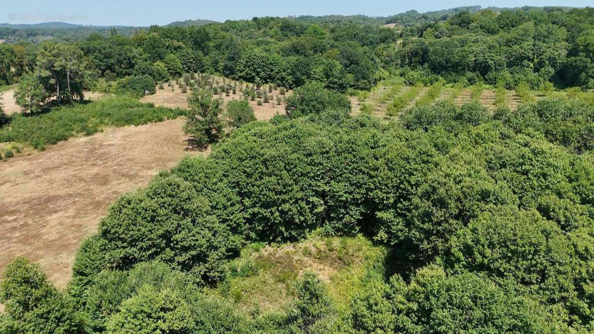 Terrain Prats De Carlux 4636 m2 - photo 2