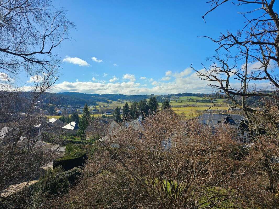 Photo 2 - Commerce à SAINT-ALBAN-SUR-LIMAGNOLE