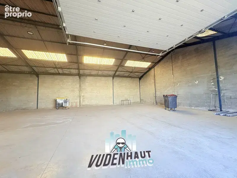 Commerce 1 250 m² à vendre à Portet-Sur-Garonne (31120) - photo 4