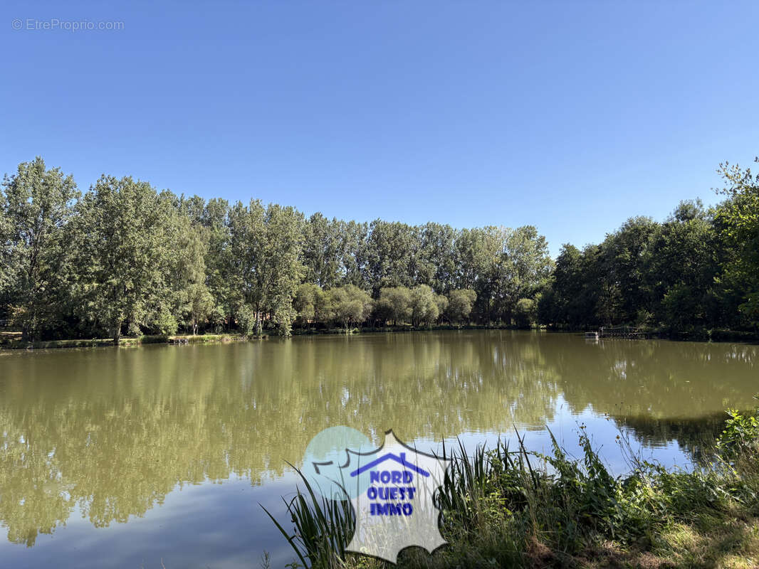 Terrain de loisirs avec plan d'eau - photo 11