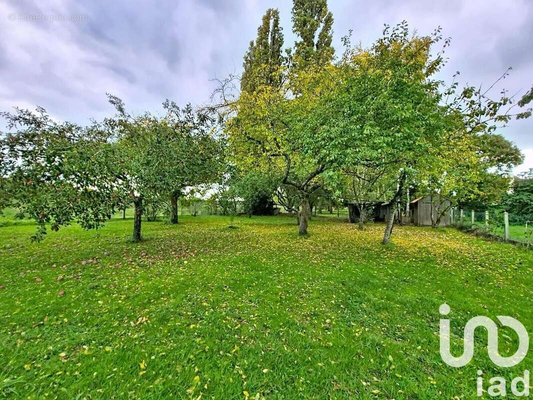 Photo 4 - Maison à LORRIS