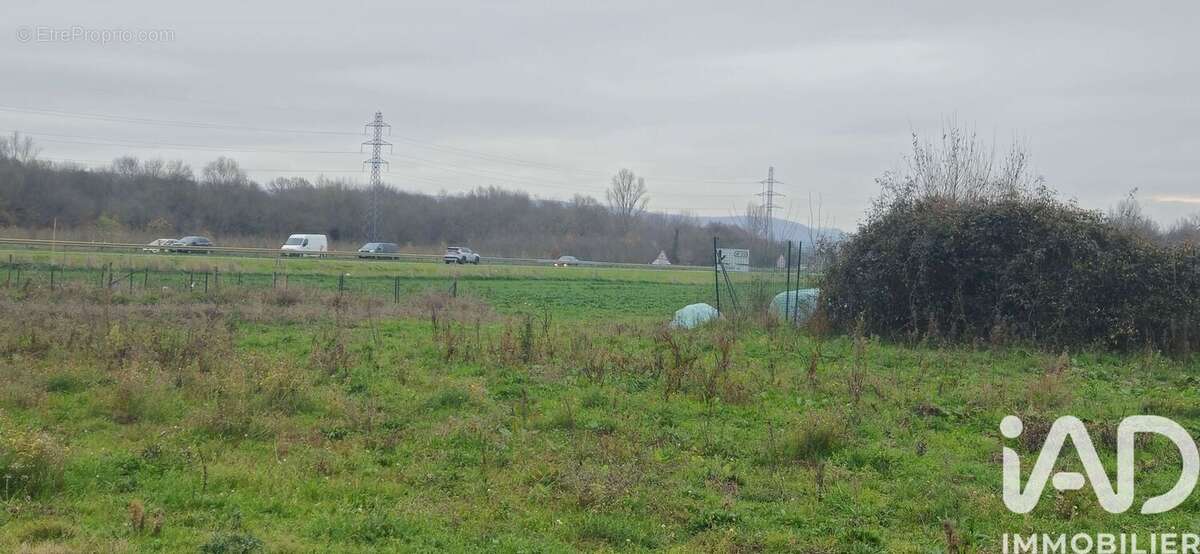 Photo 3 - Terrain à MURET