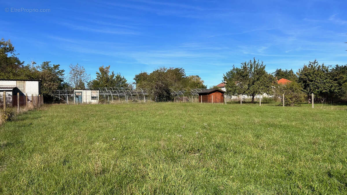 Terrain à LEZOUX