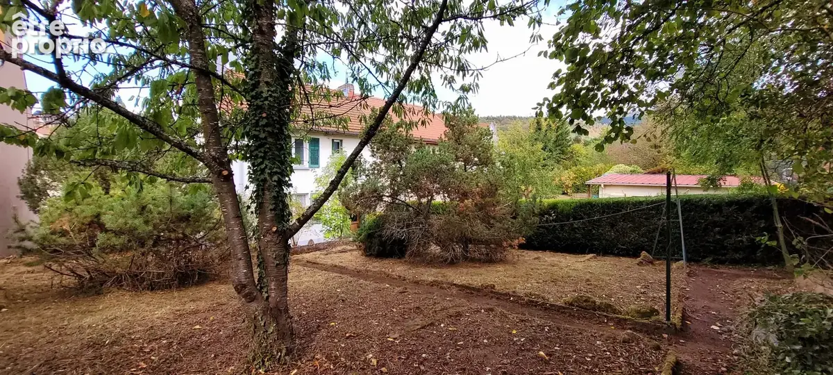 Maison 4 pièces 100 m² à vendre à Saint-Die-Des-Vosges (88100) - photo 3
