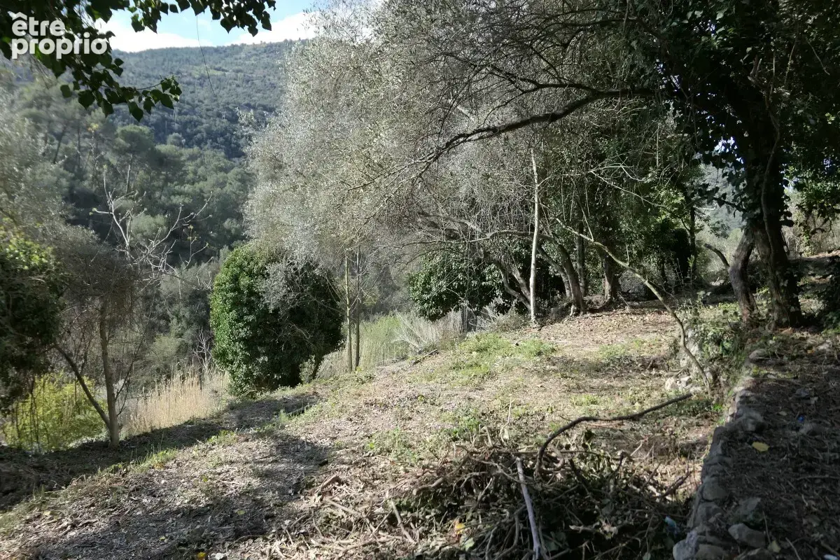 Terrain à bâtir - La Trinité - 2000m² - photo 3