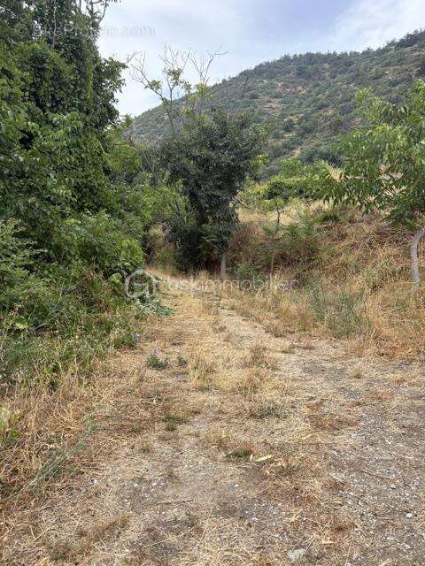 Terrain de 4495 m2 - photo 8