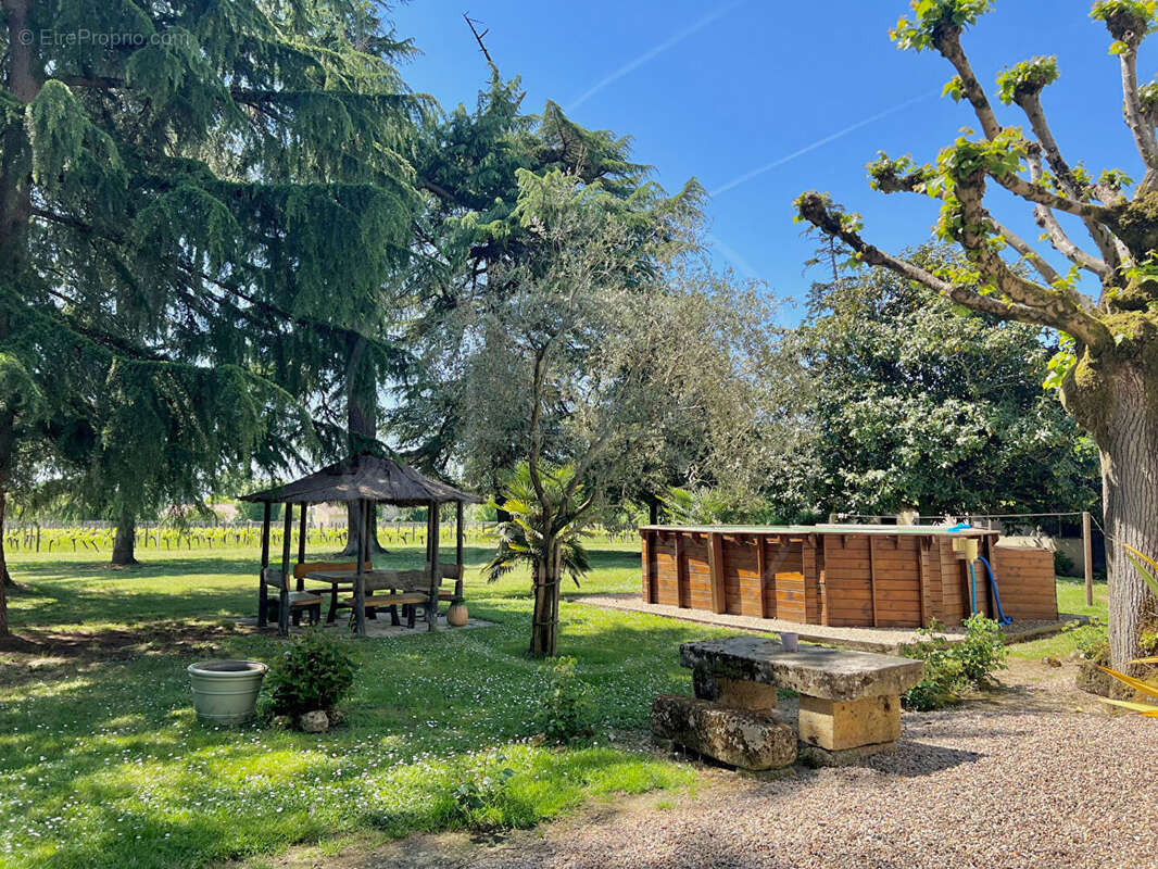 Maison à SAINT-EMILION