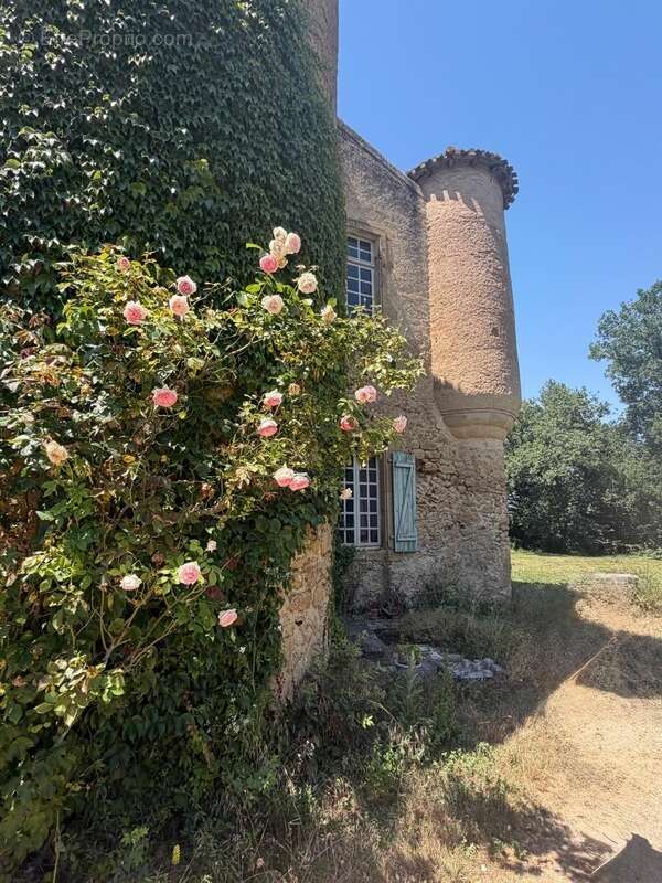 MARCIAC(32): ancienne SEIGNEURIE avec BEAU CHATEAU XIV sur 3,5ha, cachée, au bout du chemin, sans voisin, en campagne, 500m2 hab - photo 25