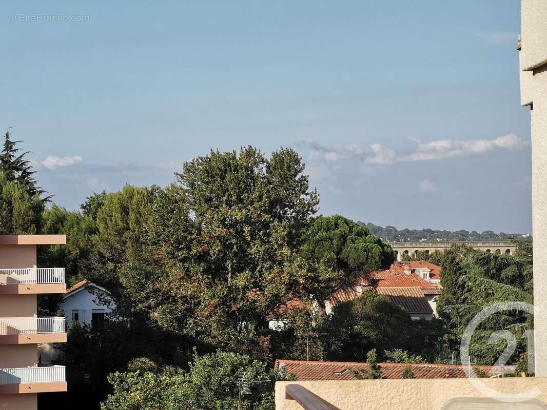 Photo 8 - Appartement à MONTPELLIER