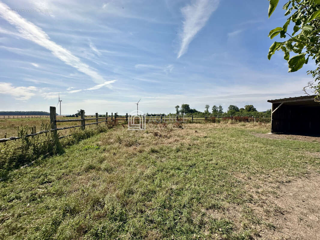 Bien atypique avec habitation et bâtiment agricole sur 2,07 hectares   PREUSEVILLE - photo 11