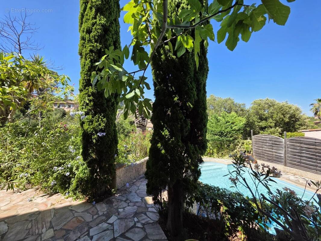 Villa individuelle avec piscine 112m²- 816m² - Les Issambres - photo 3