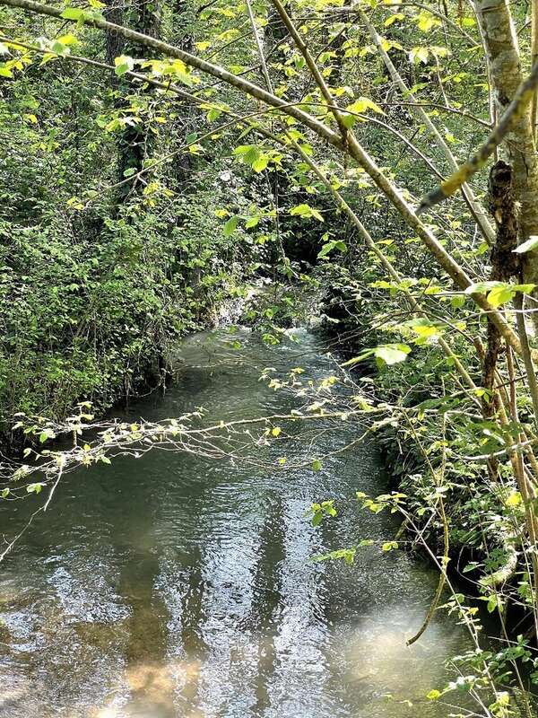 DOLMAYRAC - Ancien Moulin du 18e siècle à rénover avec piscine et 1,4465 ha de terrain arboré - Lot & Garonne (47) - photo 27