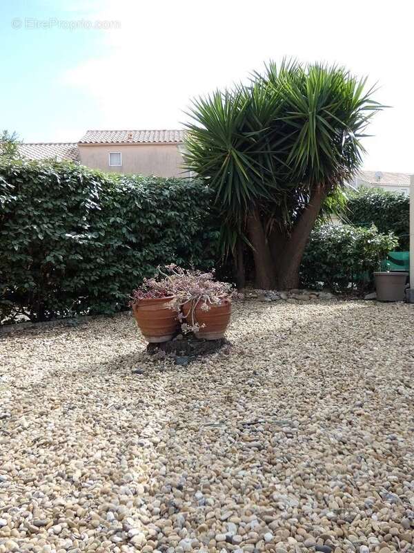Appartement à FRONTIGNAN