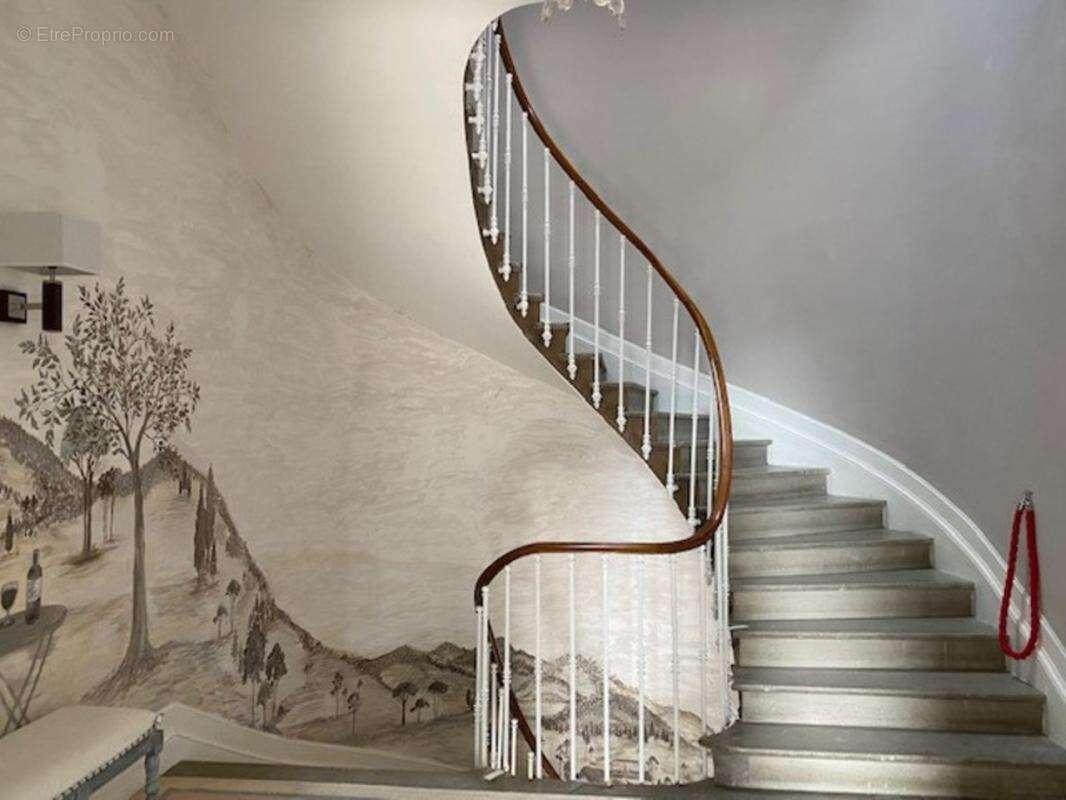 31250 - Revel- Maison de maître  400m² environ- Parc de 1,5 ha - photo 8