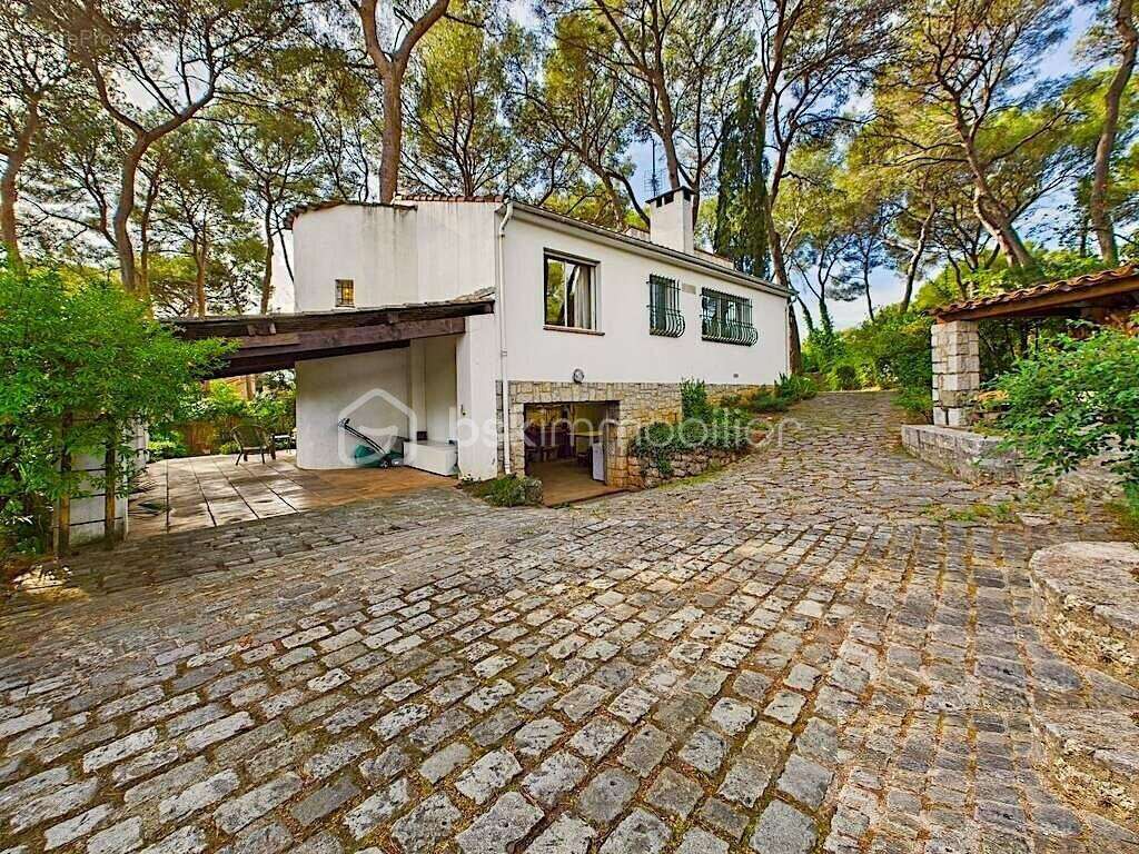  le cannet – secteur pinède – villa de plain-pied sur terrain arboré de 1300 m² – fort potentiel - photo 5