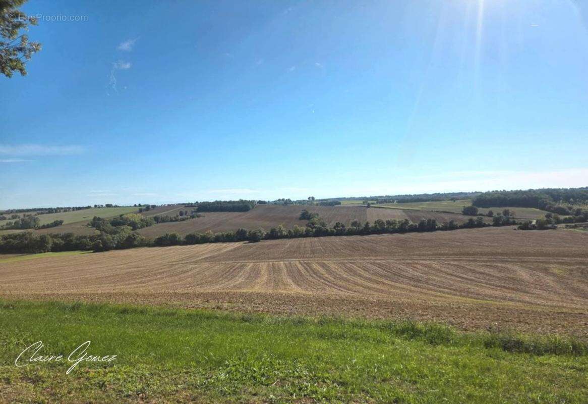 Terrain constructible de 2 700 m² avec vue dominante – À 3 min de Cologne (32) - photo 3