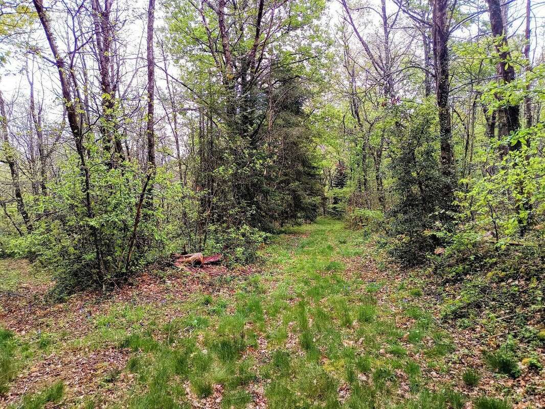 Maison 249 M2 sur terrain 3 hectares - photo 9