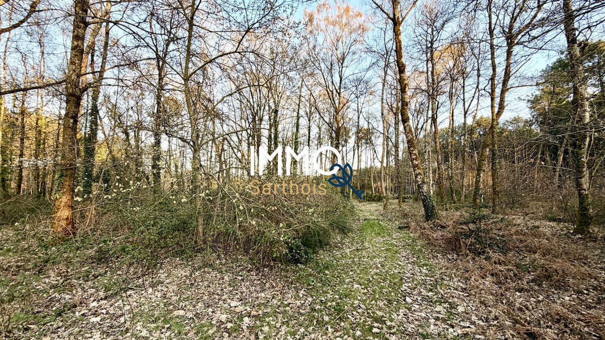 Terrain à MARIGNE-LAILLE