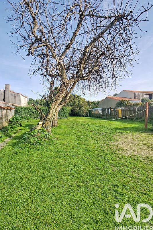 Photo 6 - Appartement à SAINT-GEORGES-D'OLERON