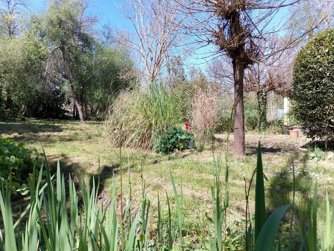 L&#039;Isle-en-Dodon, Haute Garonne, charmante maison spacieuse avec ruisseau, cadre rural, jardin   charming spacious house with stream, rural setting garden - Maison à L&#039;ISLE-EN-DODON